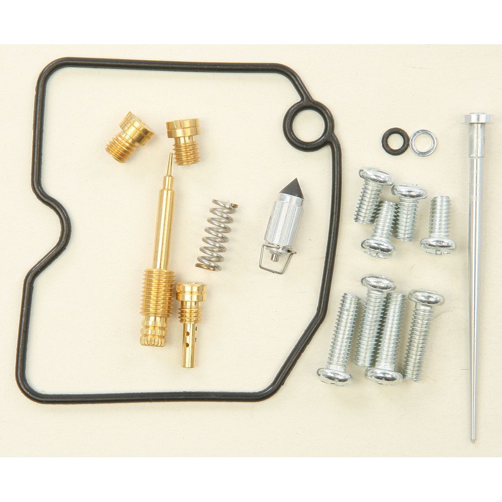 Carburetor Repair Kit
