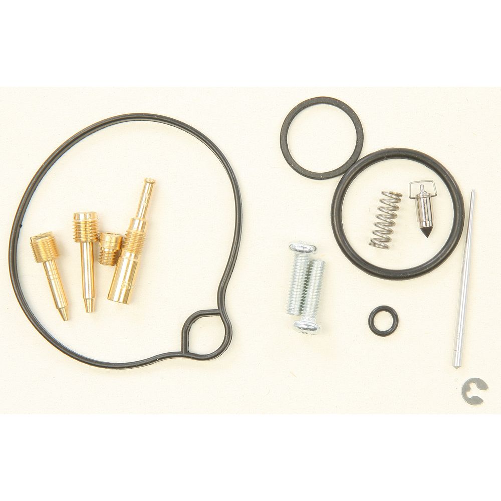 Carburetor Repair Kit