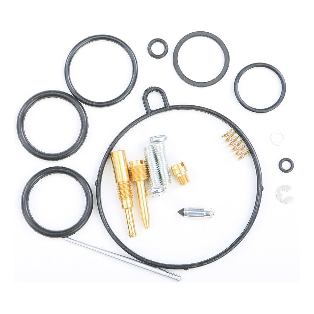 Carburetor Repair Kit