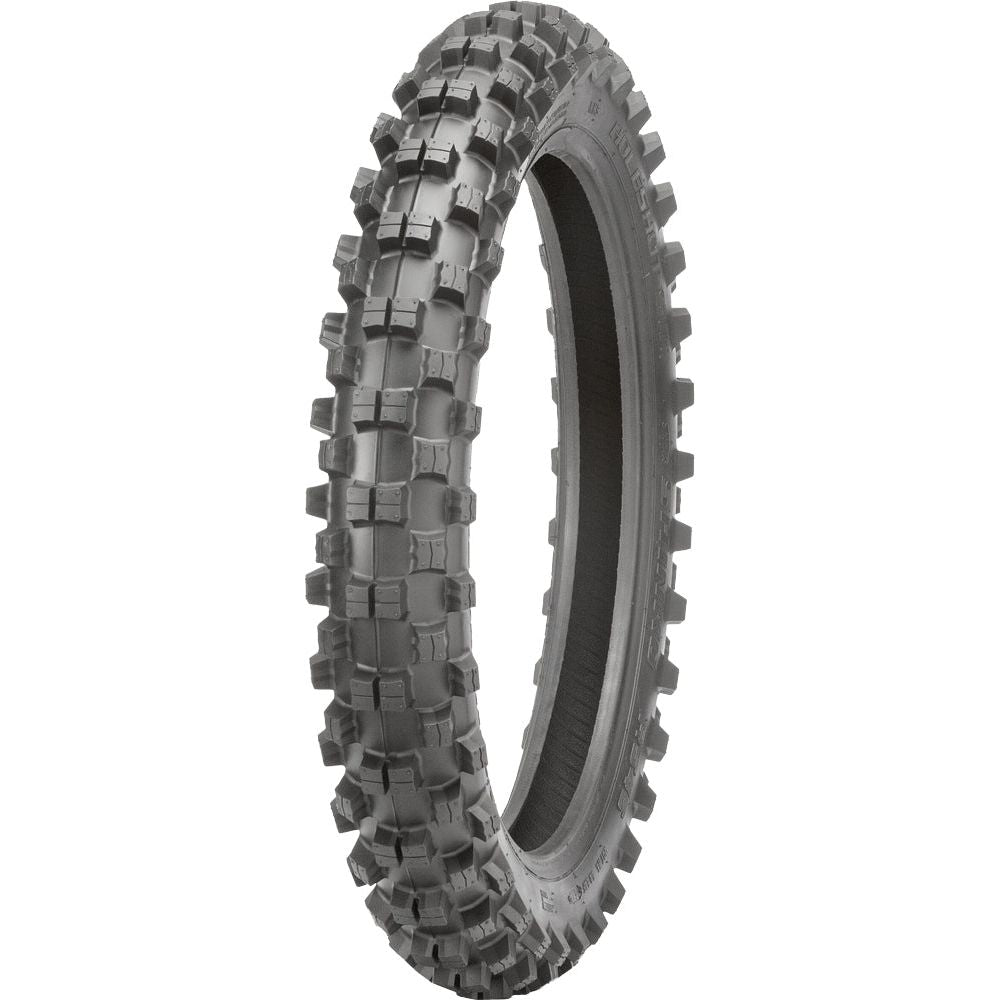 Tire 546 Series Rear 110/100 18 64m Bias Tt