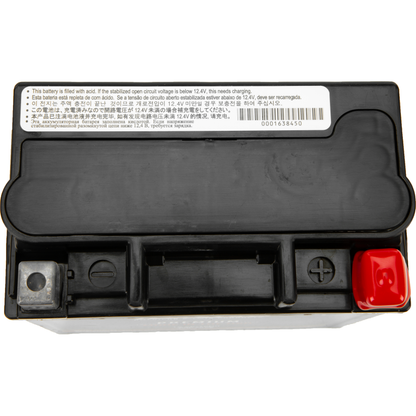 Gyz16hl / Ytx14l Premium Battery