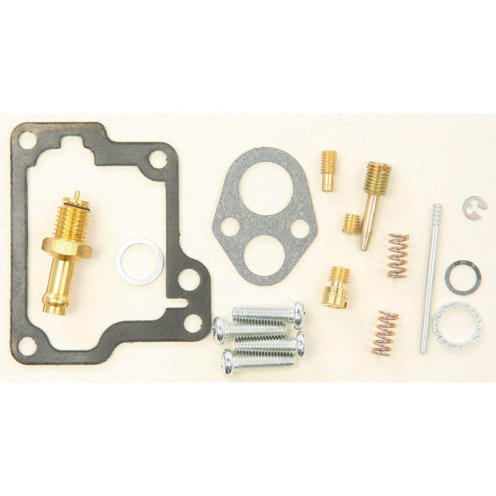 Carburetor Repair Kit