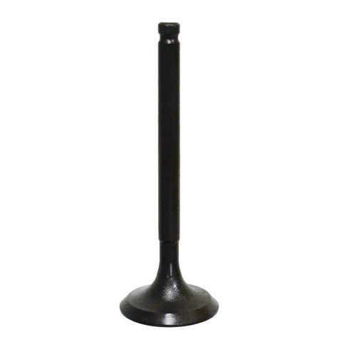 Intake Valve