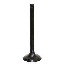 Intake Valve