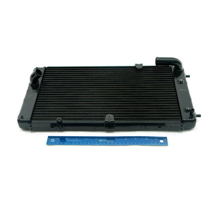 Indian Motorcycle RADIATOR, Genuine OEM Part 1241391, Qty 1