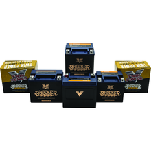 Twin Power YTX-14L Shocker Gel Battery Replaces H-D 65958-04 220 CCA