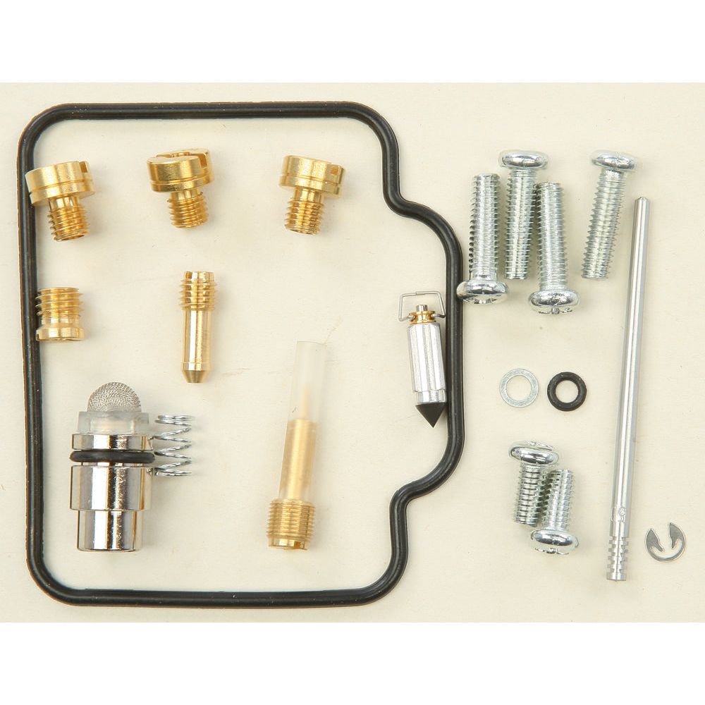 Carburetor Repair Kit