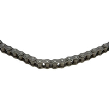 Standard 25 Ft Chain