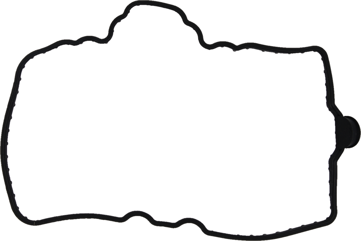 Valve Cover Gasket Pol