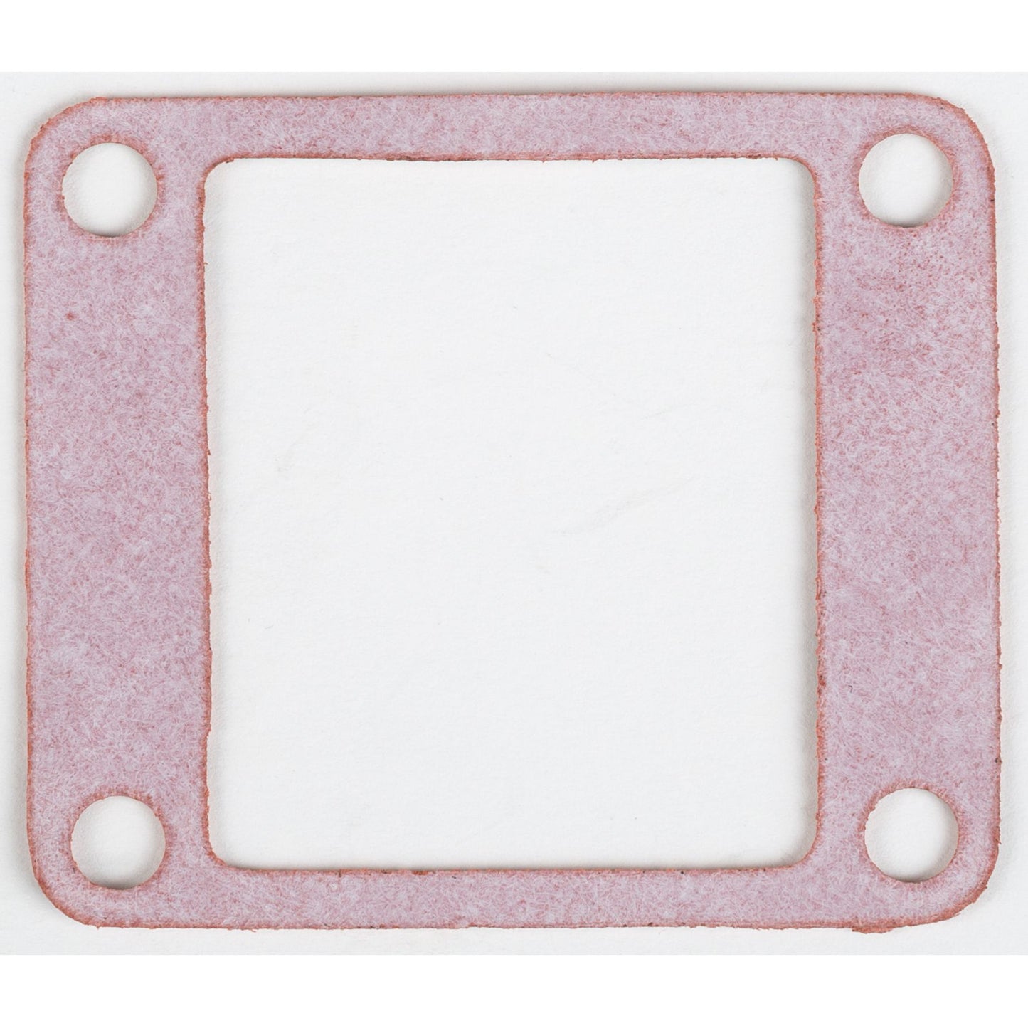 Motorcycle Rad Gasket