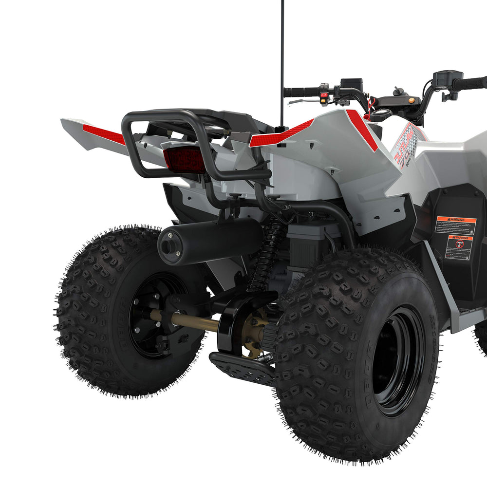 Polaris ATV Rear Brushguard - 2884778