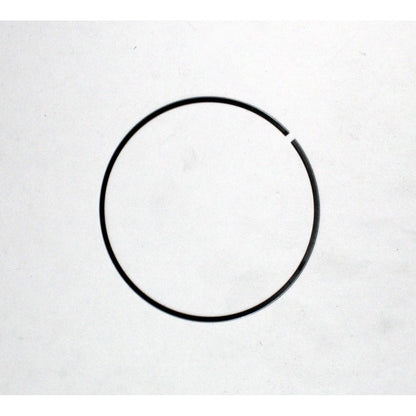 Polaris ATV Piston Rings Kit, Genuine OEM Part 2204959, Qty 1