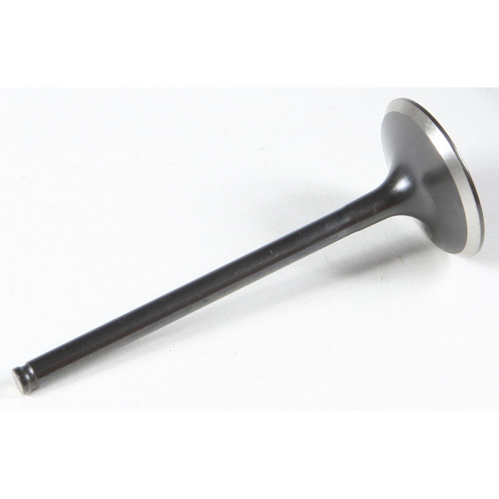Black Diamond Intake Valve