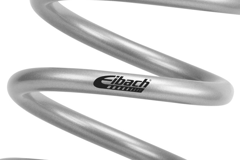 Eibach 22-25 Polaris RZR PRO R Ultimate Stage-4 UTV Spring Kit