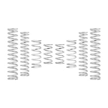 Eibach Can-Am Maverick R X RS Ultimate PRO-UTV Stage 3 Spring System (Set of 8 Springs)
