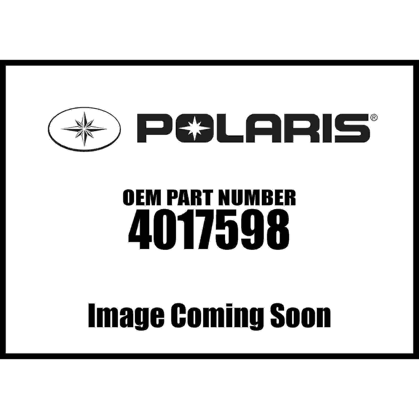 Polaris RZR Fuse-PDM, Genuine OEM Part 4017598, Qty 1