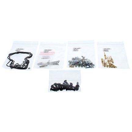 Bike Carburetor Rebuild Kit