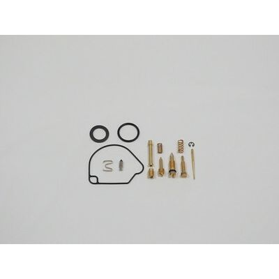 Carburetor Repair Kit