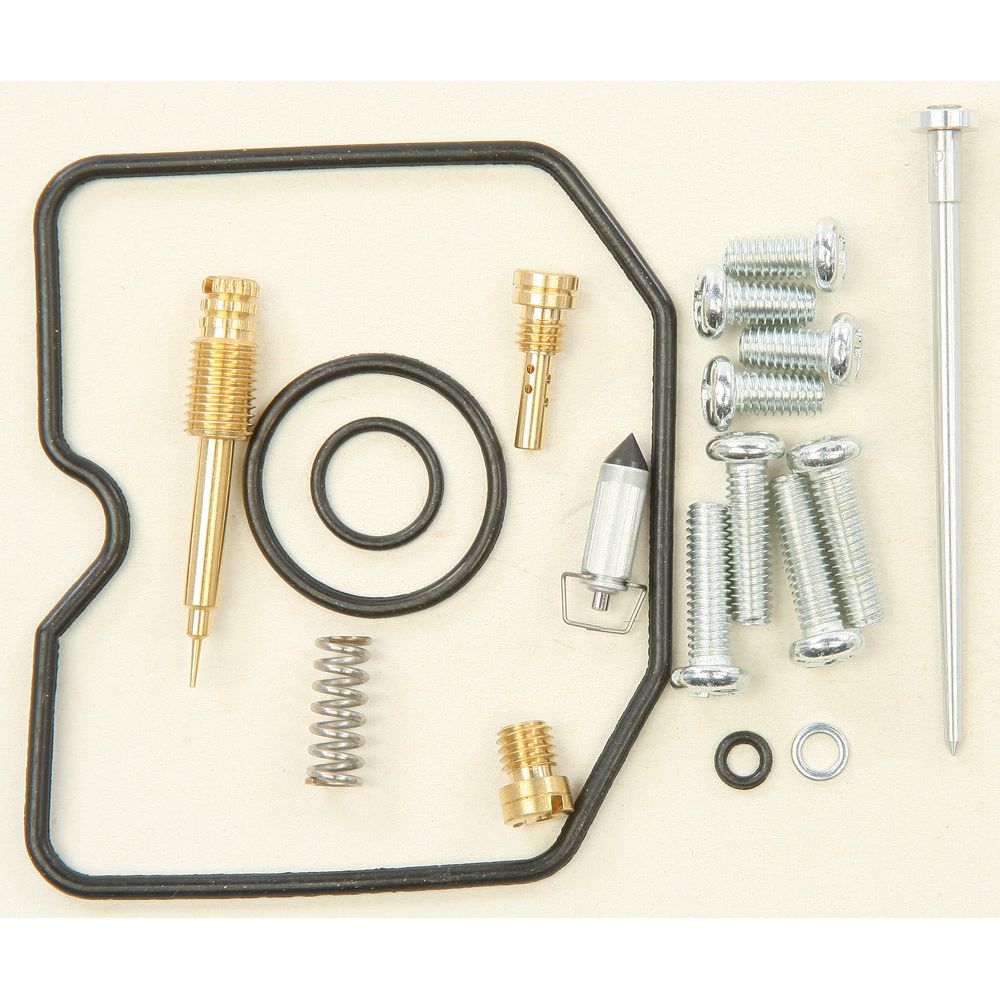 Carburetor Repair Kit