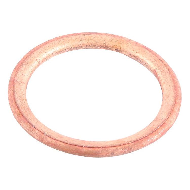 Exhaust Gasket Kit