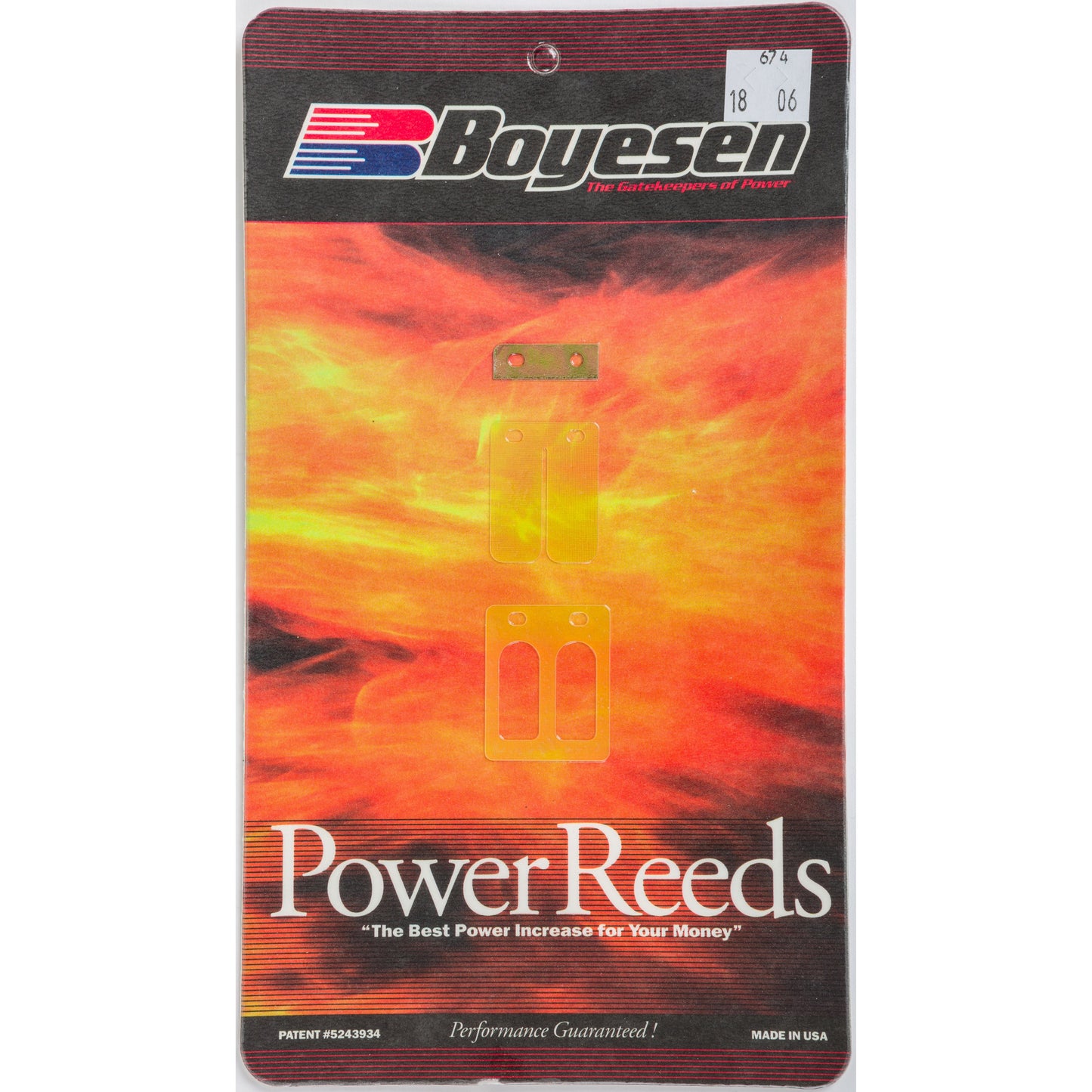 Motorcycle Reeds