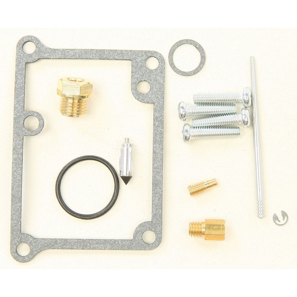Bike Carburetor Rebuild Kit