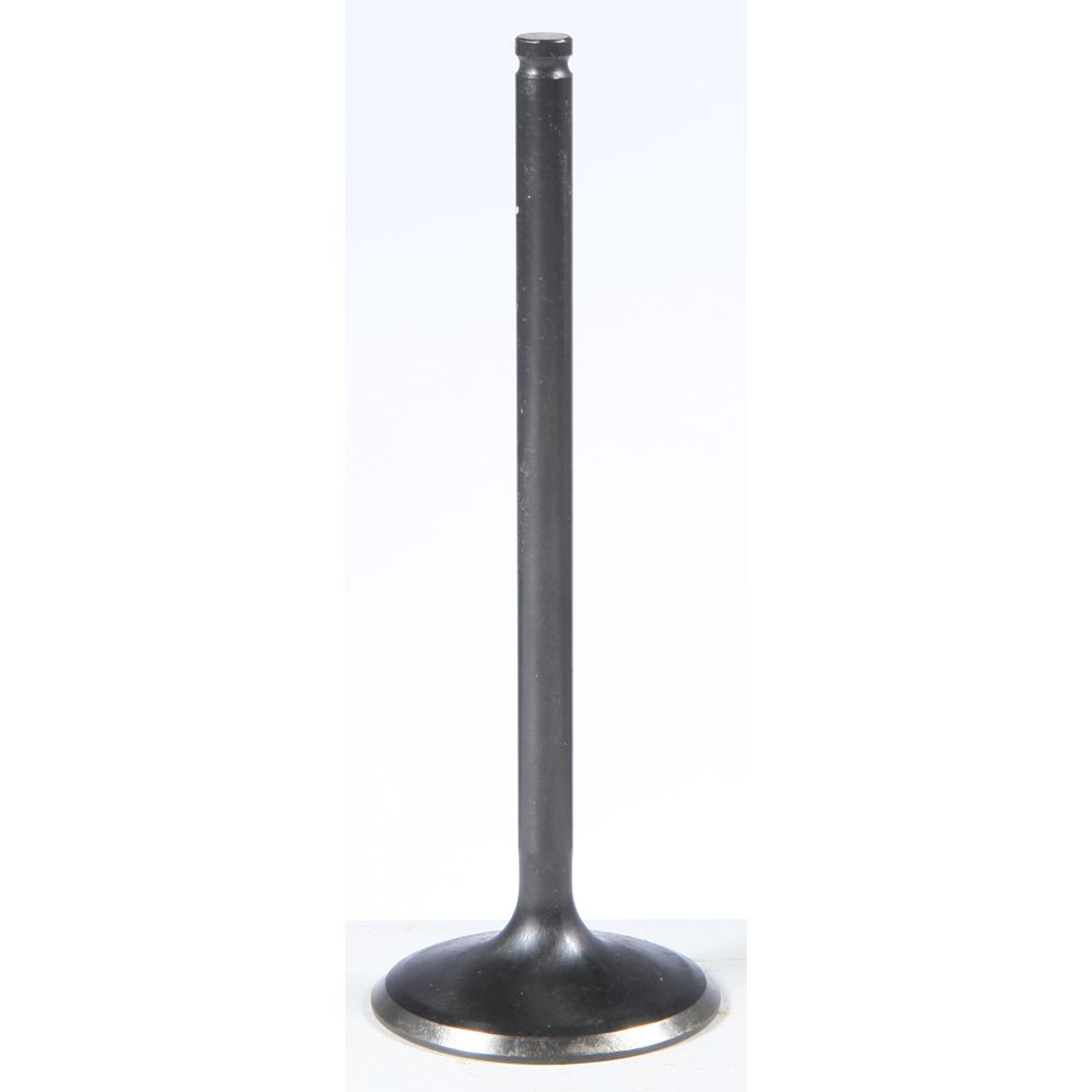 Black Diamond Intake Valve