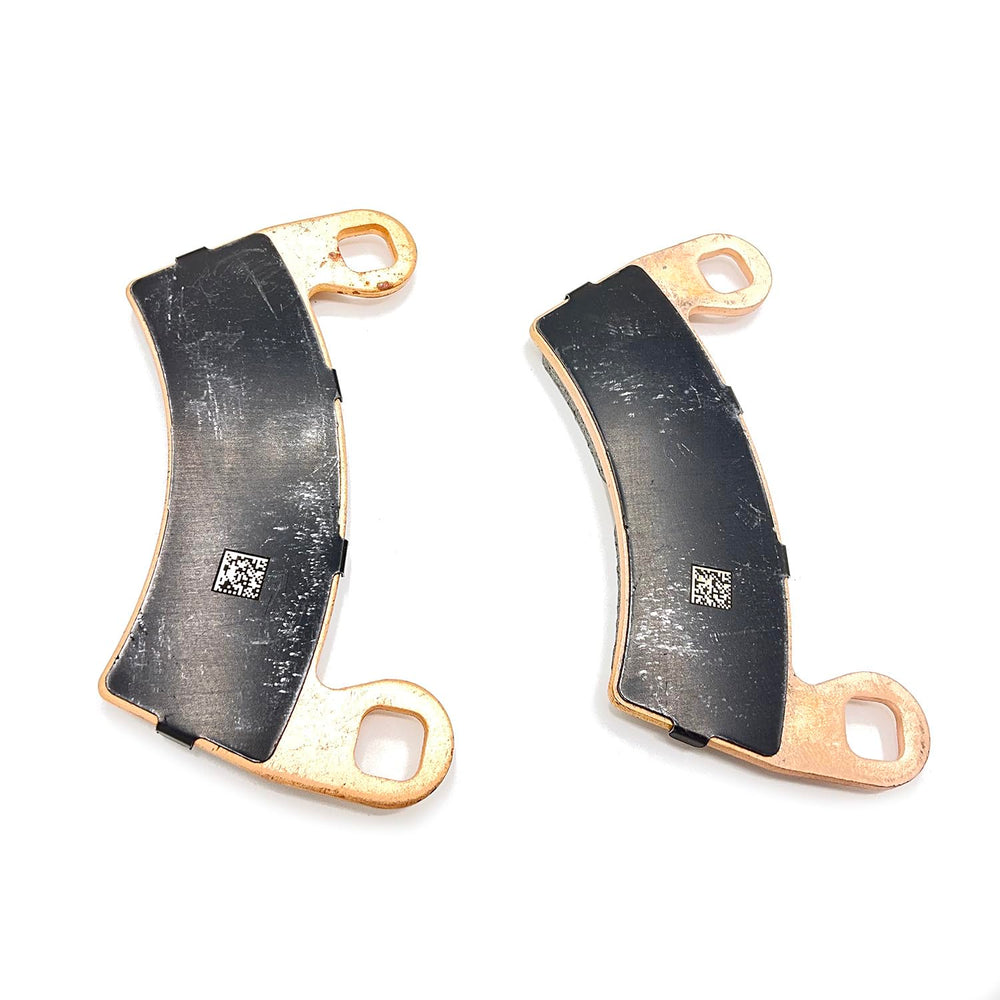 
                      
                        Polaris RZR Dual Bore Brake Pad Kit, Genuine OEM Part 2208078, Qty 1
                      
                    