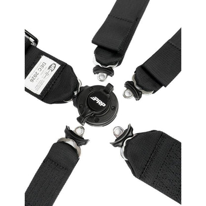 PRP 5.3x2 Cam-Lock Harness