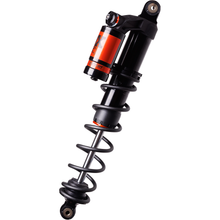 S/D Renegade Ski Kit