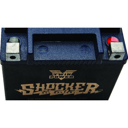 Twin Power YTX-14L Shocker Gel Battery Replaces H-D 65958-04 220 CCA