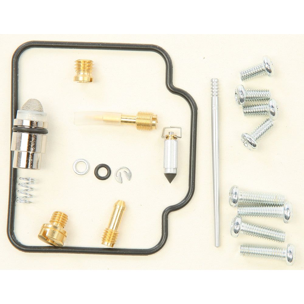 Carburetor Repair Kit