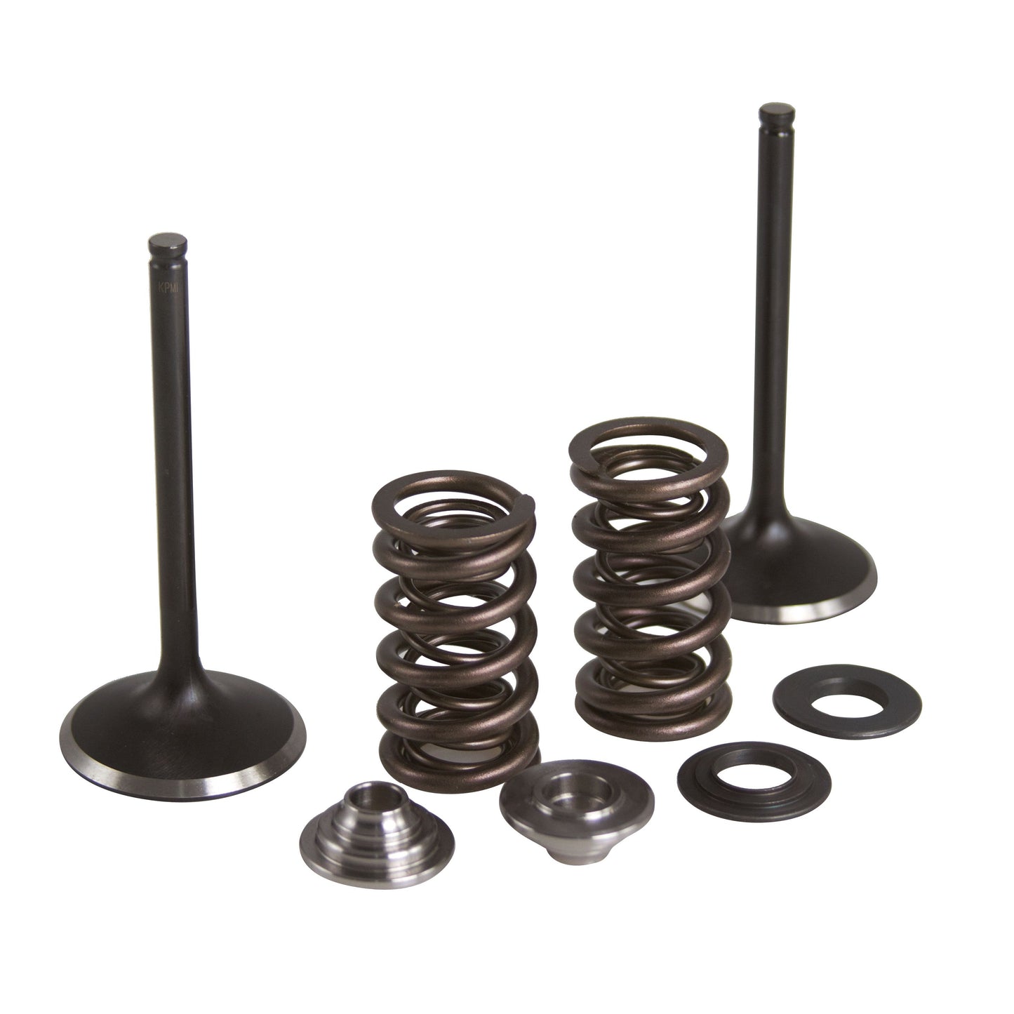 Intake Valve/Spring Kit Stainless Steel Yam