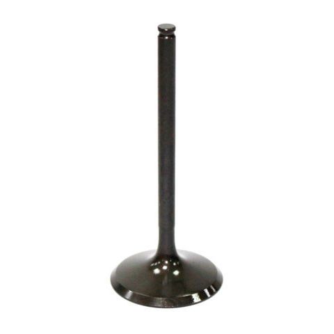 Exhaust Valve