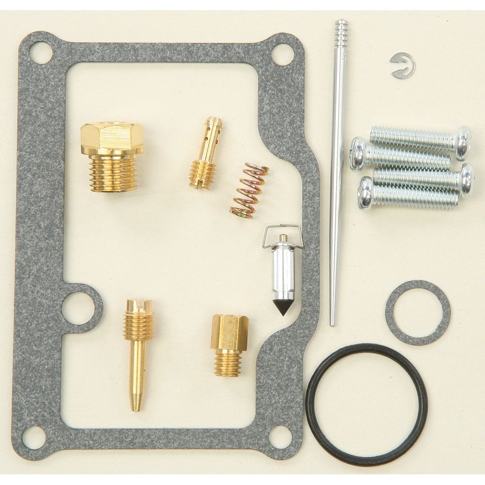 Carburetor Repair Kit
