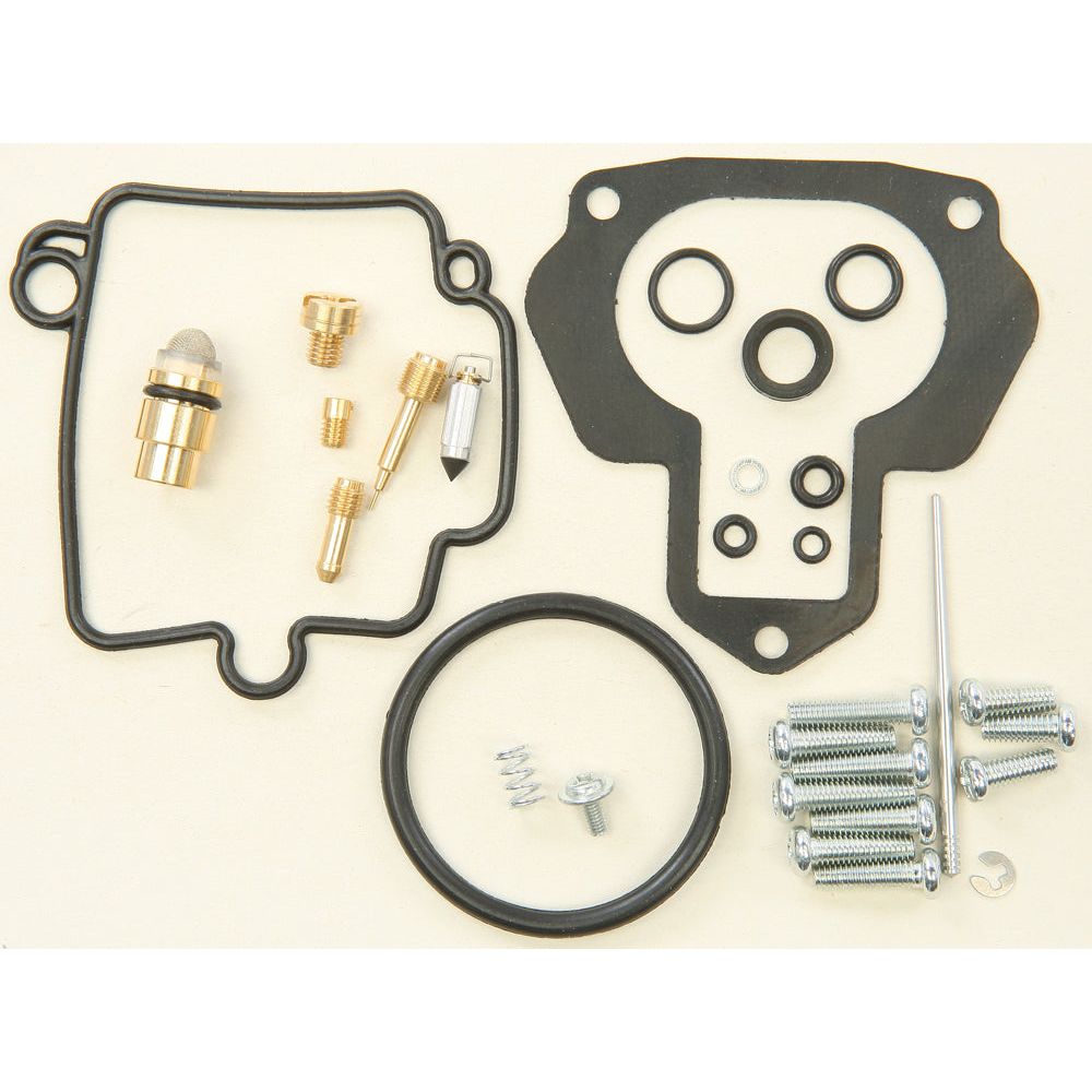 Carburetor Repair Kit