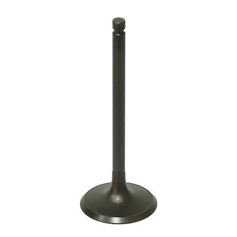 Intake Valve