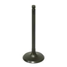 Intake Valve