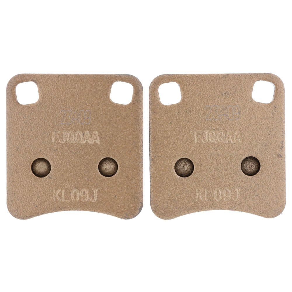 
                      
                        Polaris RZR Brake Pads, Genuine OEM Part 2208176, Qty 1
                      
                    
