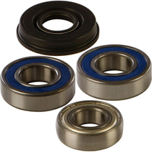 Chain Case Bearing & Seal Kit