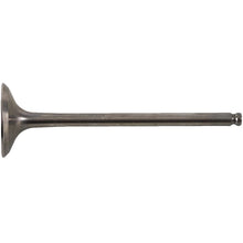 Exhaust Valve Titanium