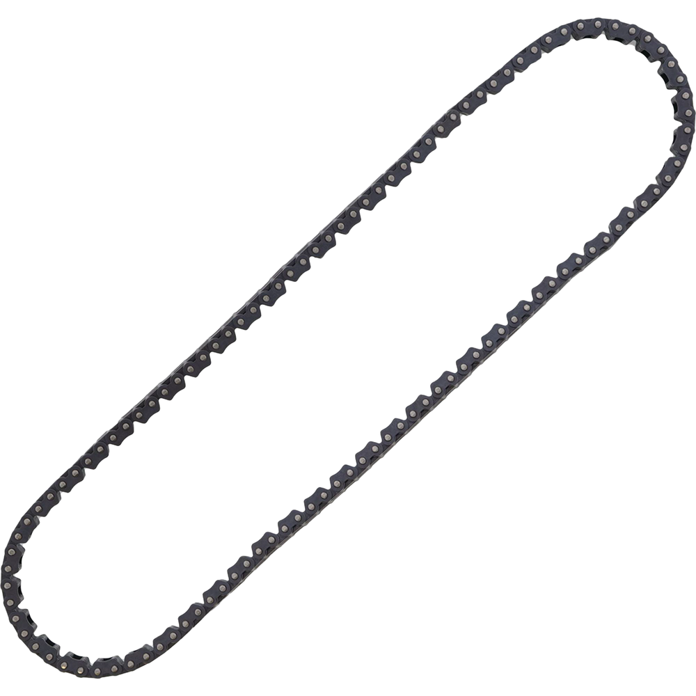 
                      
                        Cam Chain
                      
                    