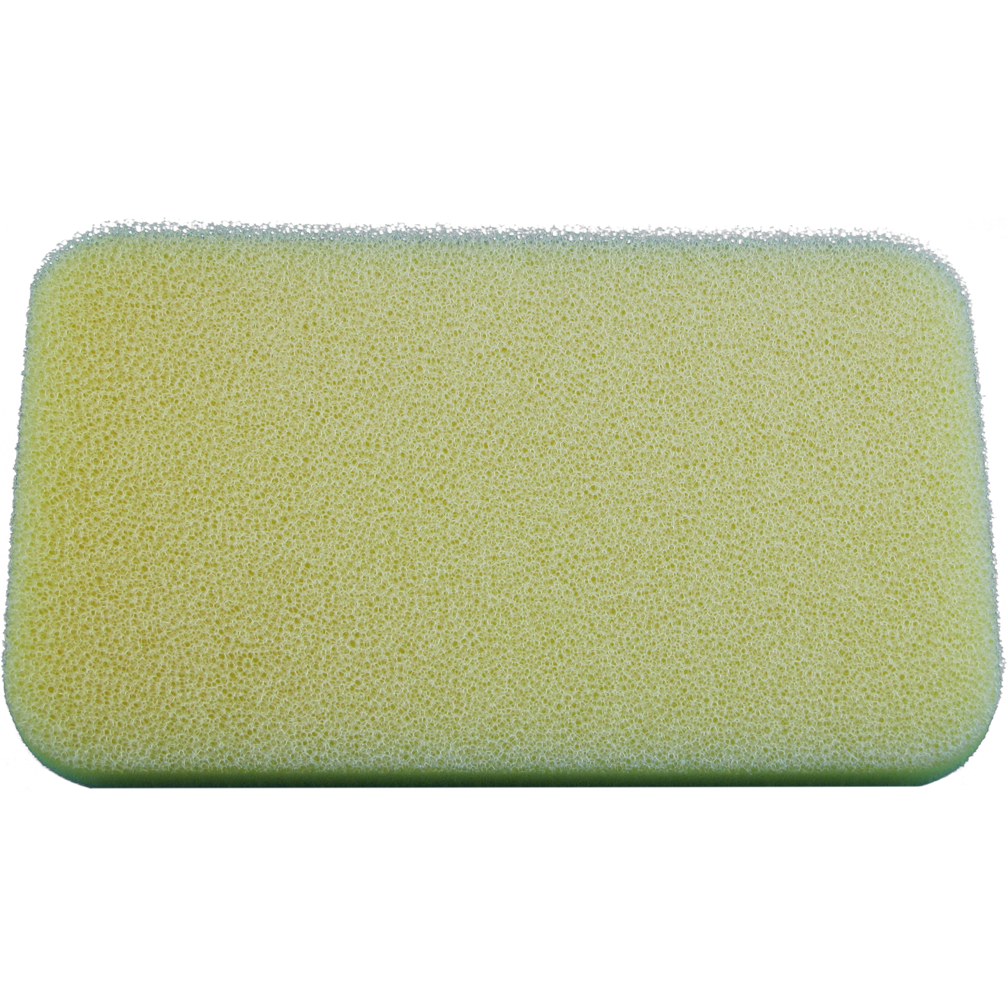 Raptor 110 2024 2025 Dry