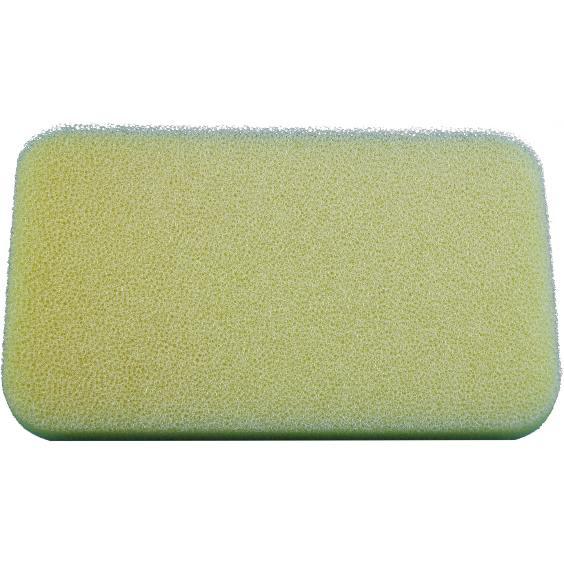 Raptor 110 2024 2025 Dry