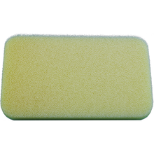 Raptor 110 2024 2025 Dry