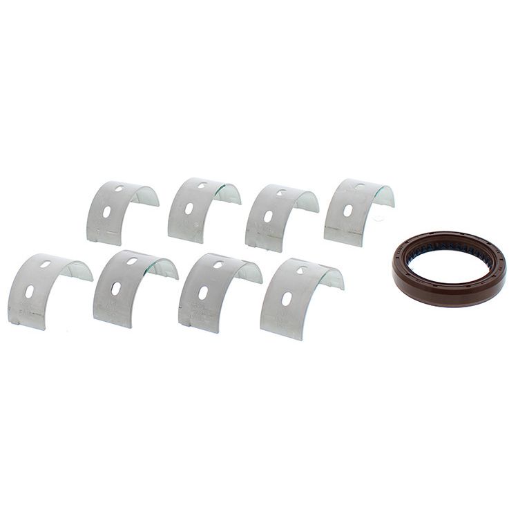 Main Bearing & Seal Kit Pol