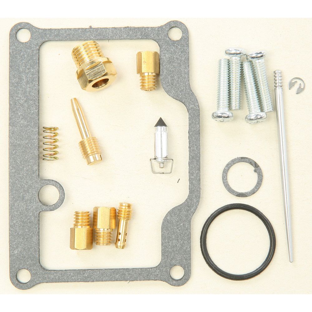 Carburetor Repair Kit