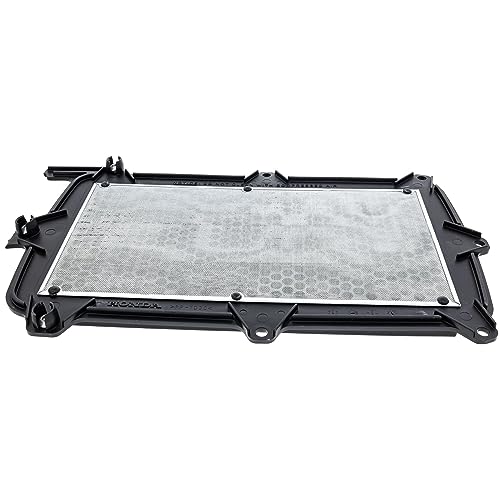 
                      
                        Honda Talon 1000 OEM Air Filter 17215-HL6-A00
                      
                    