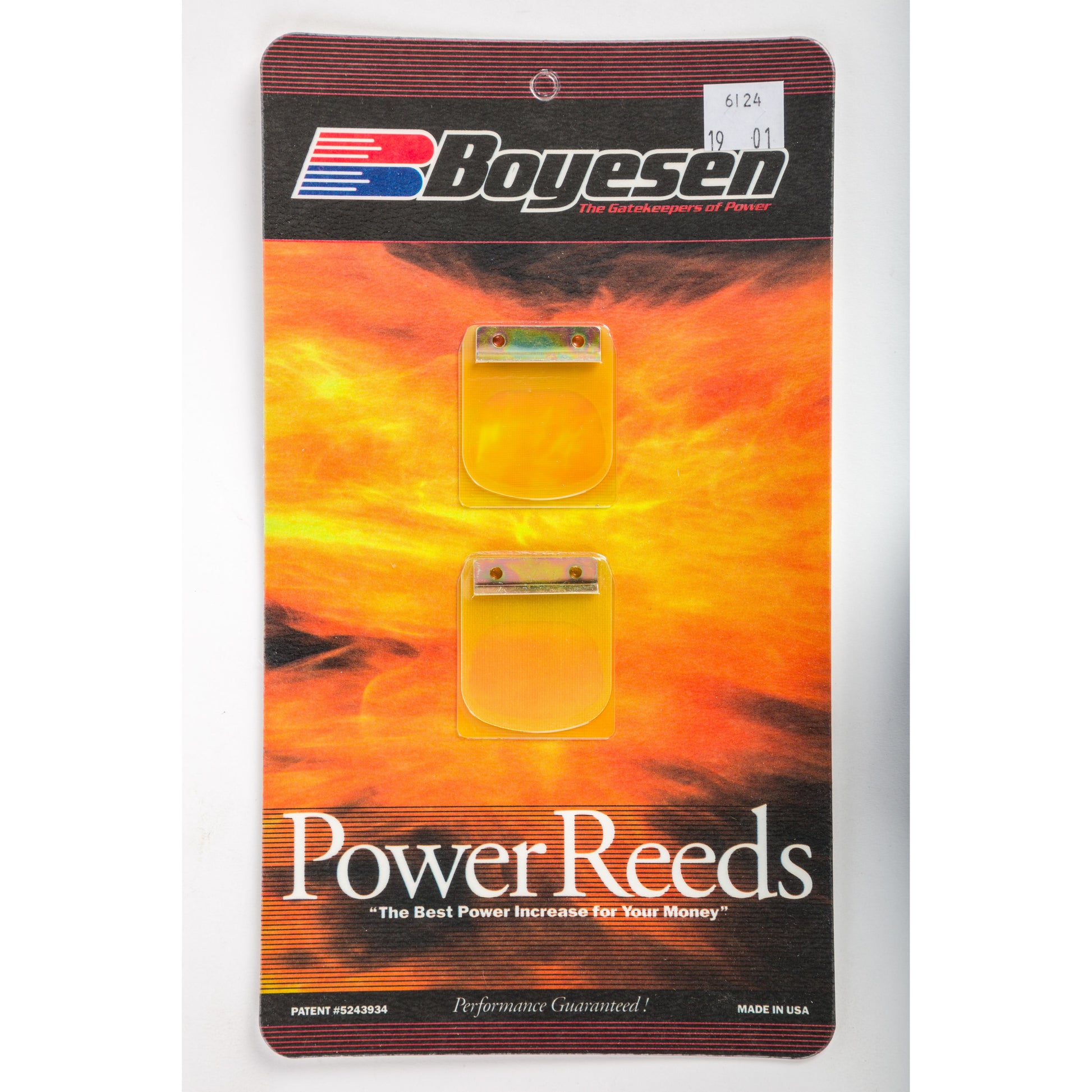 Motorcycle Reeds