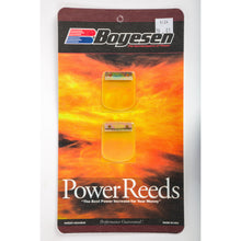 Motorcycle Reeds